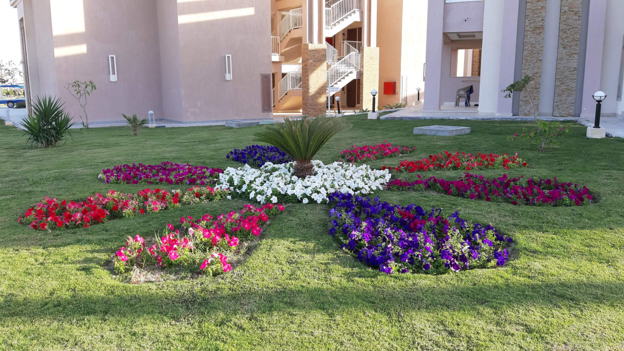 Gartenanlage Pickalbatros Sea World Resort - Marsa Alam