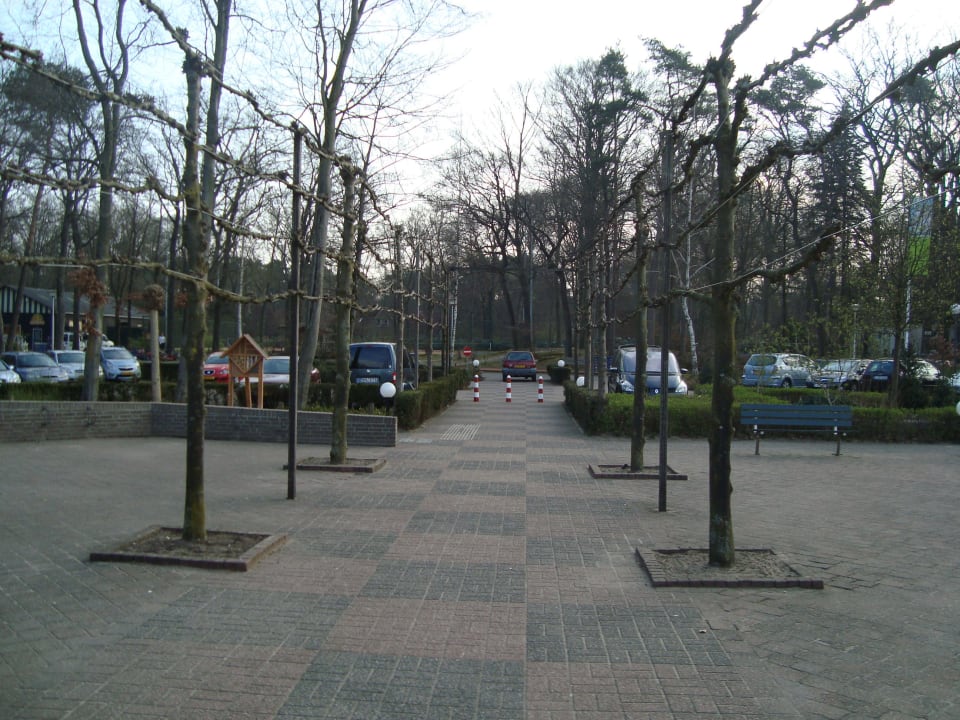 Parkplatz Ferienpark Landal Landgoed 't Loo
