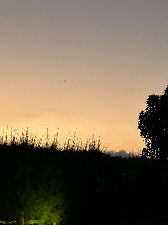 Ausblick allsun App.-Hotel Albatros