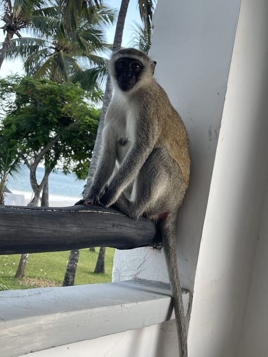 Zimmer Hotel Southern Palms Beach Resort