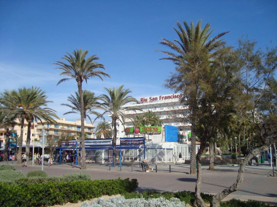Blick vom Strand auf das Hotel Hotel Riu San Francisco - Adults only