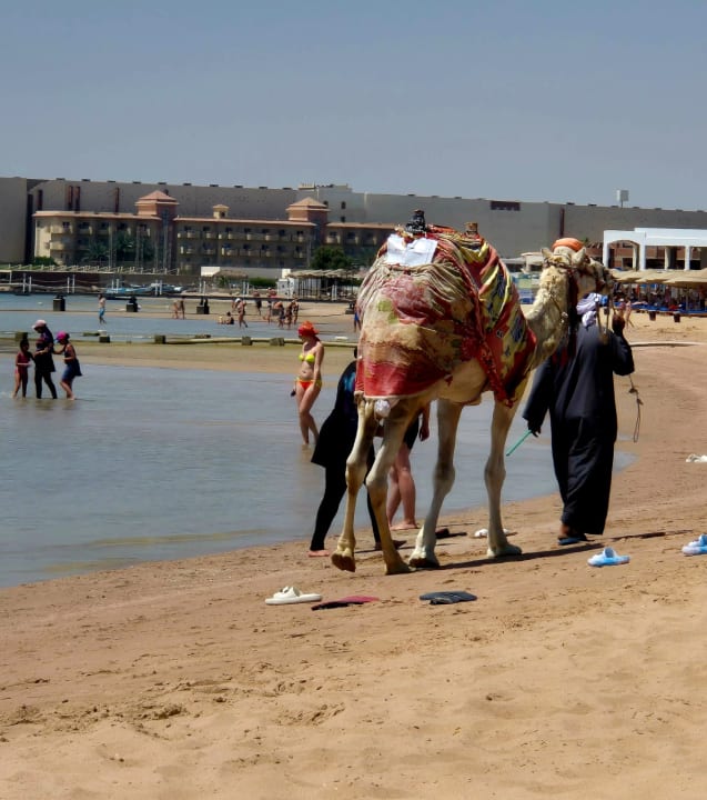 Strand Giftun Azur Resort