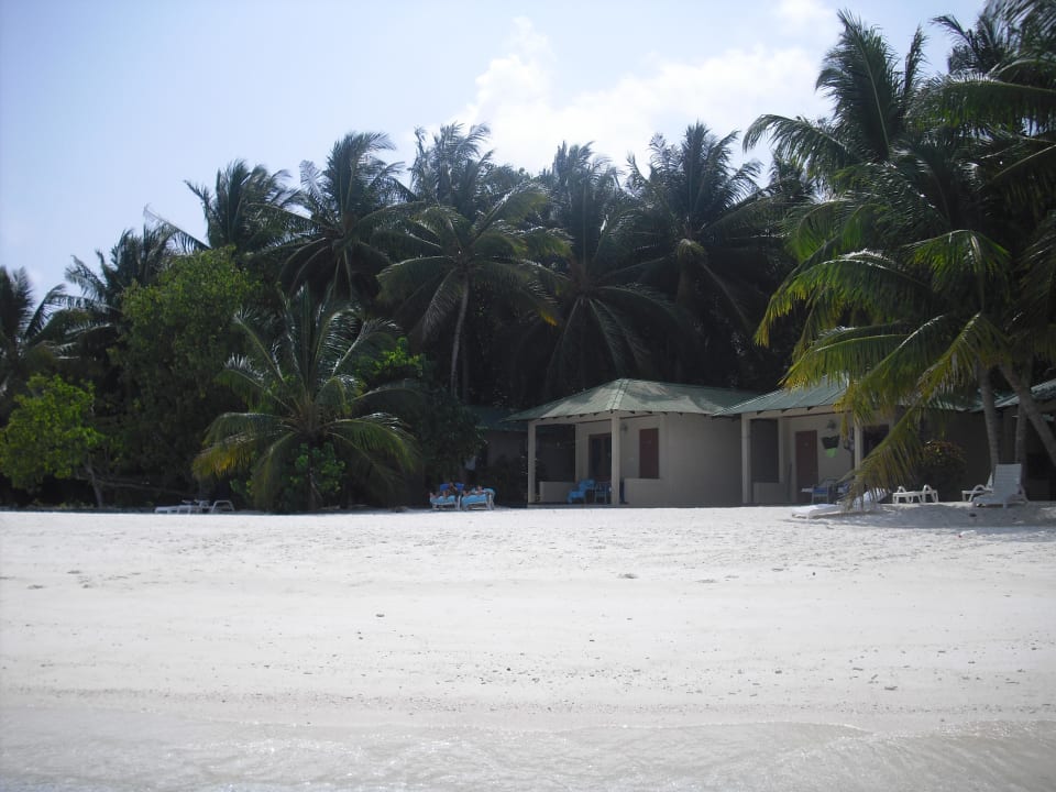 Unser Bungi Nr.43 Summer Island Maldives