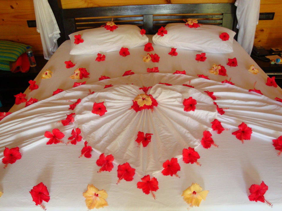 Unser letzte Tag auf Meeru Meeru Maldives Resort Island