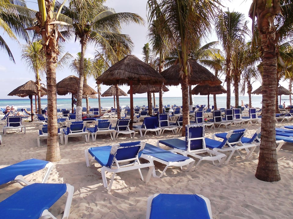 Die Massen lassen grüßen Sandos Caracol Eco Resort & Spa Select Club Adults only - All Inclusive