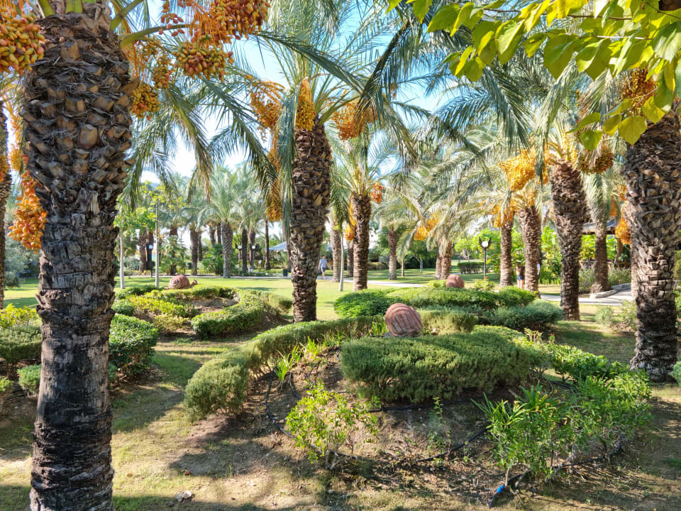 Gartenanlage Royal Wings Hotel