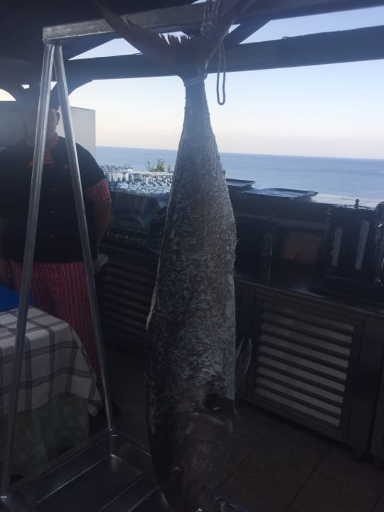 Restaurant Hotel Kalithea Horizon Royal