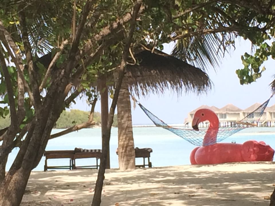 Strand Cinnamon Dhonveli Maldives