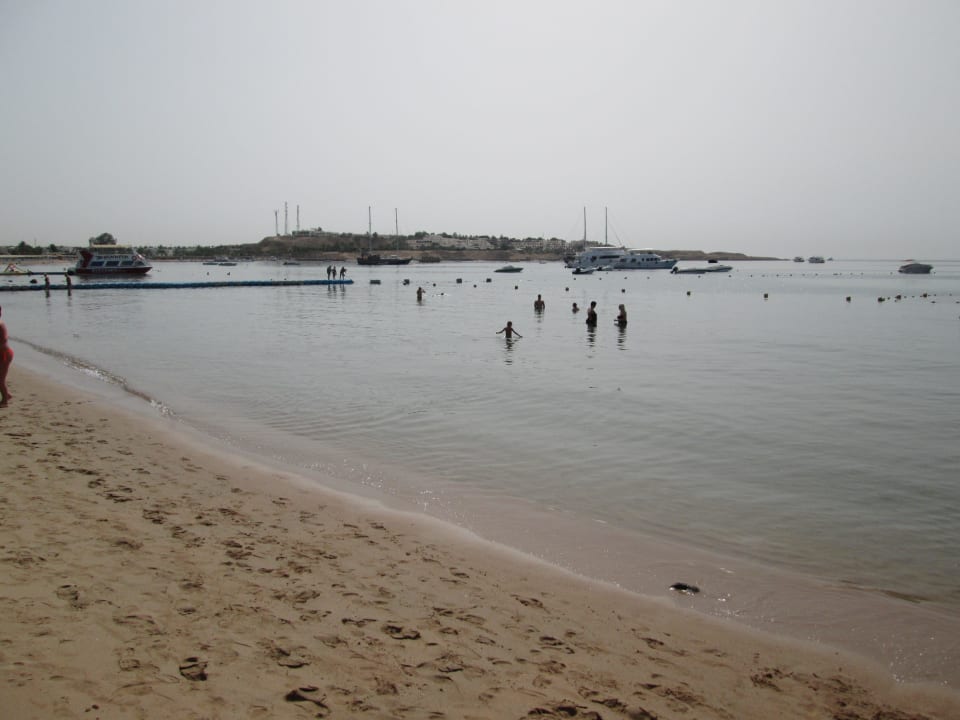 Wind still.45 Grad heiß Ghazala Gardens