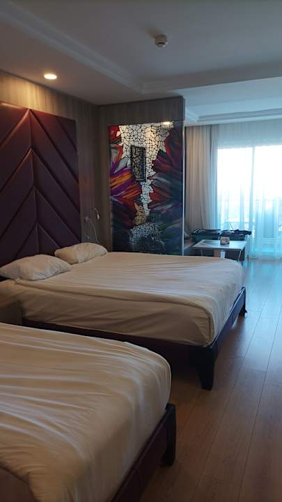 Zimmer Delphin BE Grand