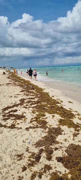 Strand Hotel Riu Playacar