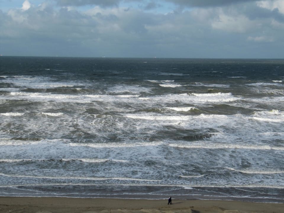 Noch einmal Blick aus dem Zimmer Center Parcs Park Zandvoort