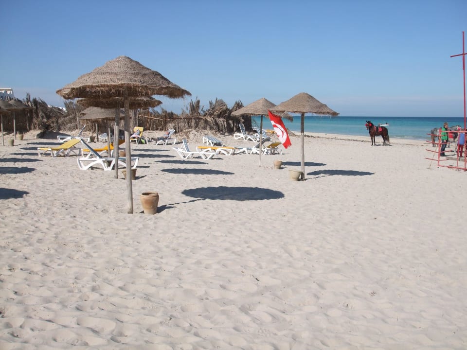 Strand mit Tunesischer Fahne Djerba Sun Beach Hotel & Spa