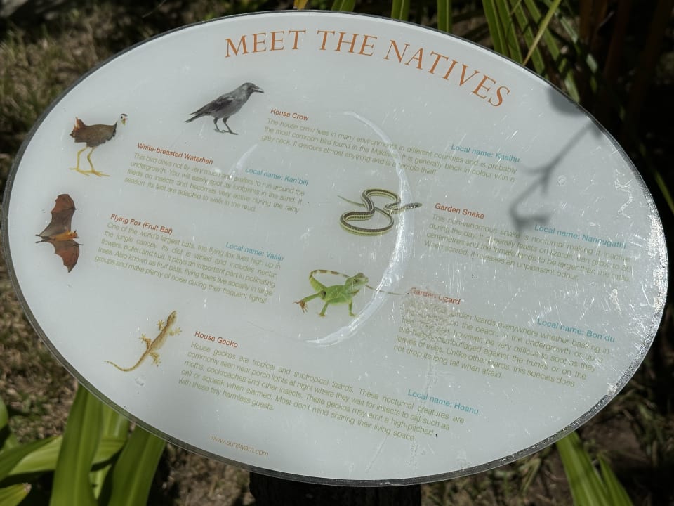 Gartenanlage Sun Siyam Olhuveli