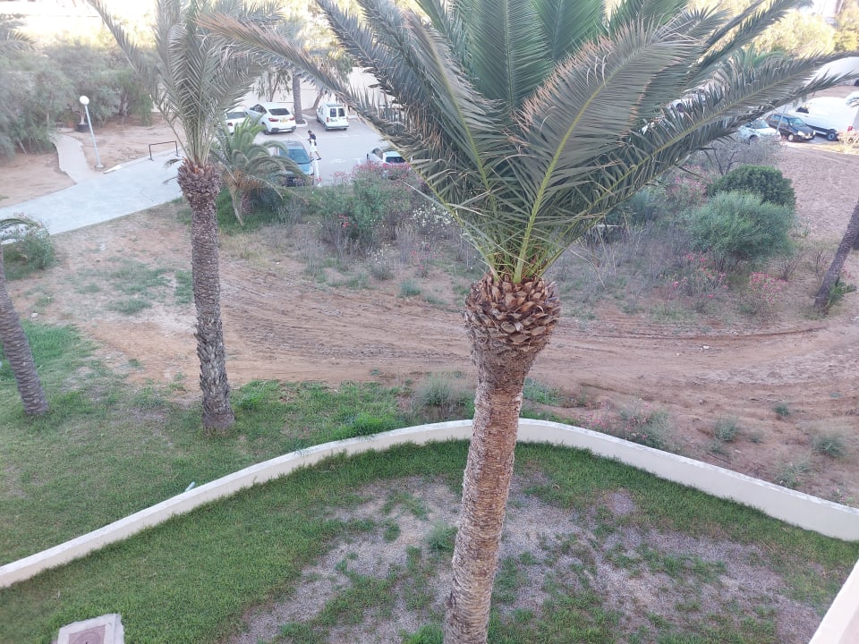 Gartenanlage Hotel Marhaba Club