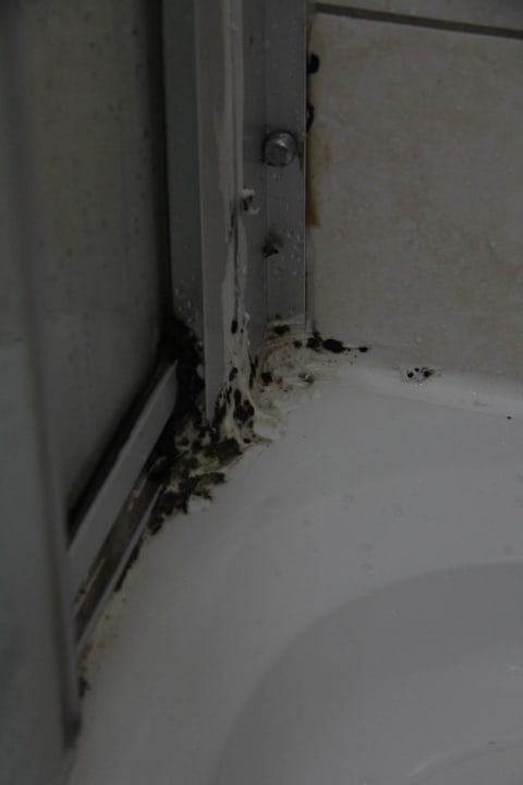 Dusche St Enoch Hotel