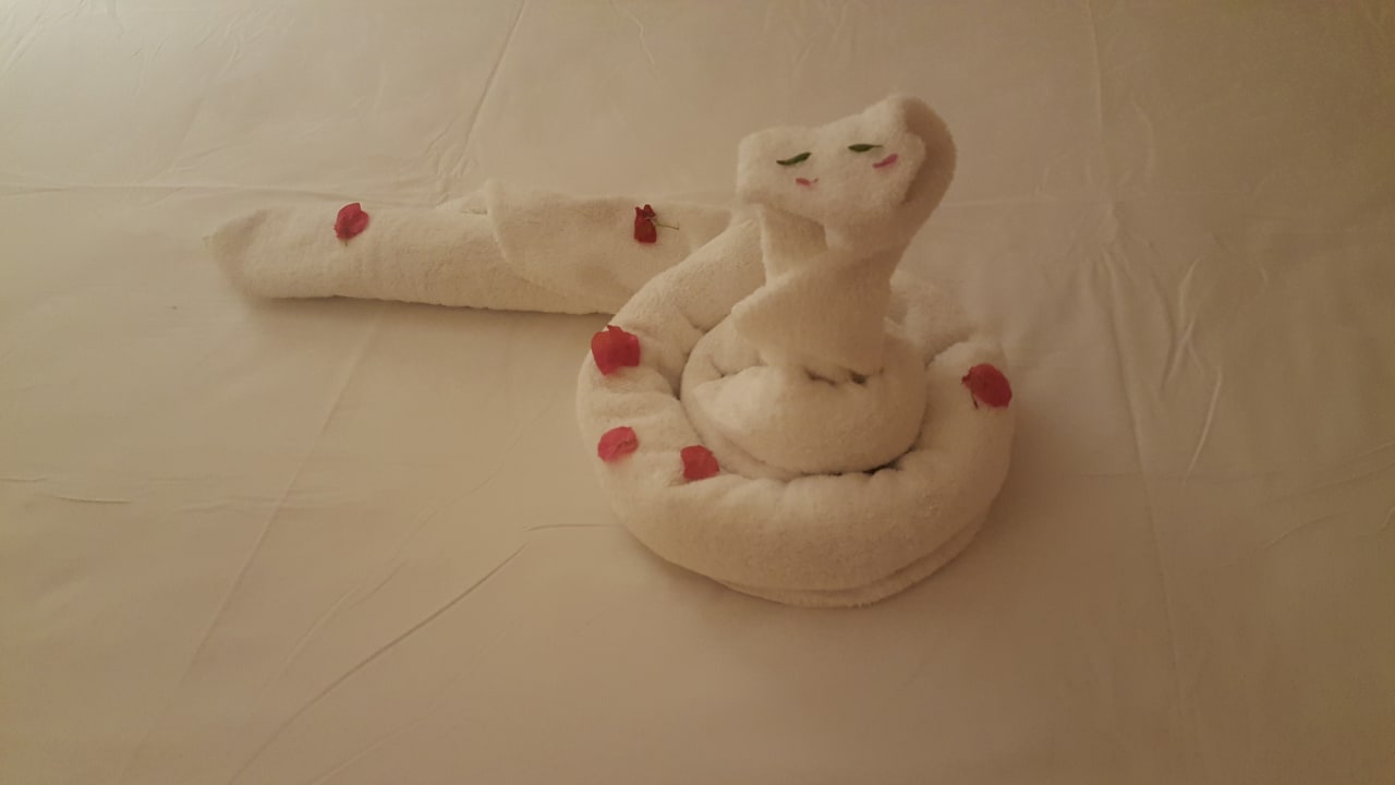 Zimmer Hotel JAZ Makadi Star & Spa