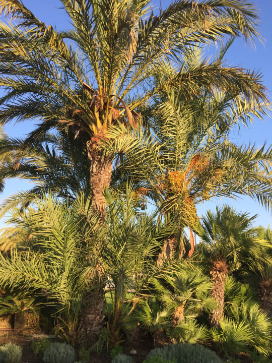 Gartenanlage ROBINSON QUINTA DA RIA