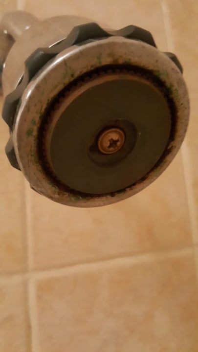 Zimmer Ghazala Gardens