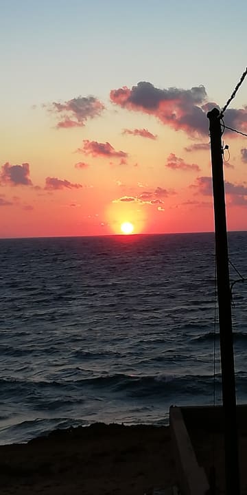 Ausblick Hotel Alpha