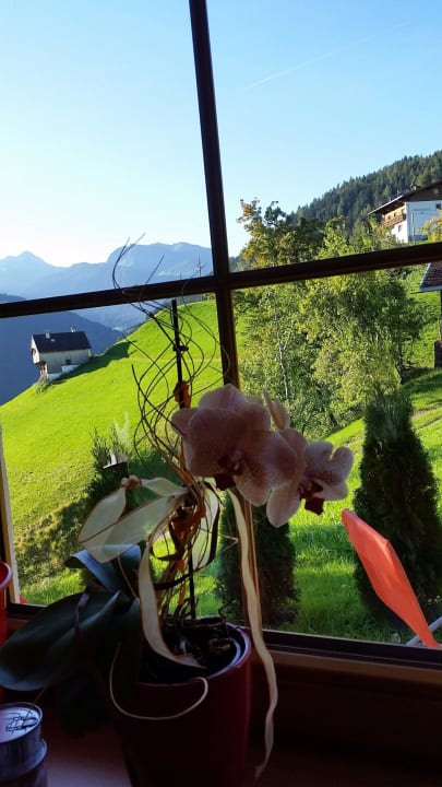 Wundervoll Ferienhütte Nicole