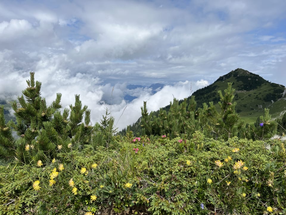 Gartenanlage Aldiana Club Schlanitzen Alm