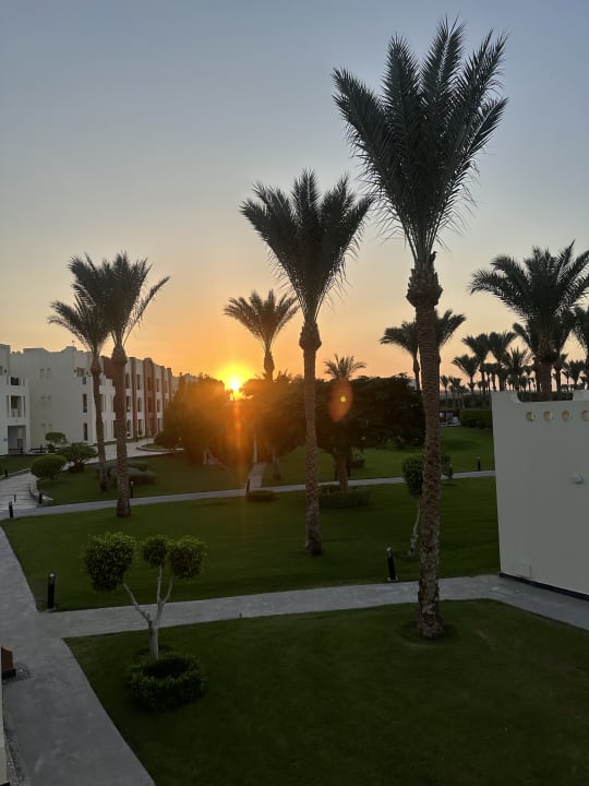Gartenanlage SUNRISE Royal Makadi Resort