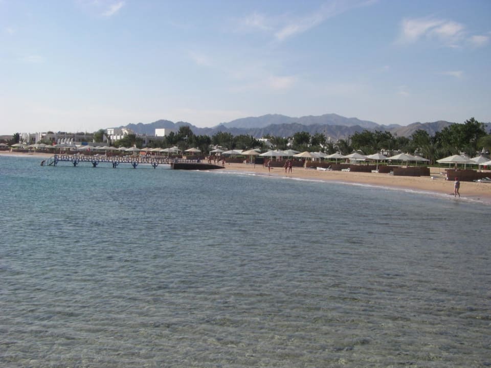 Strand rechts vom Hotel zum Schnorcheln Eagles Paradise Abu Soma