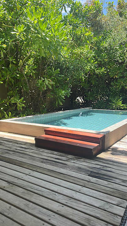 Pool Brennia Kottefaru