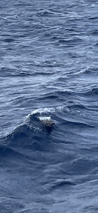 Strand Dream Lagoon Resort & Aqua Park