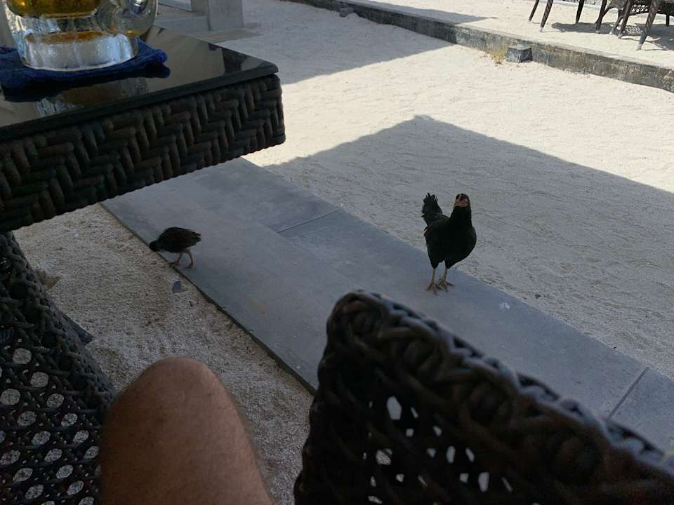 Gastro Adaaran Select Meedhupparu Island Resort - Premium All Inclusive