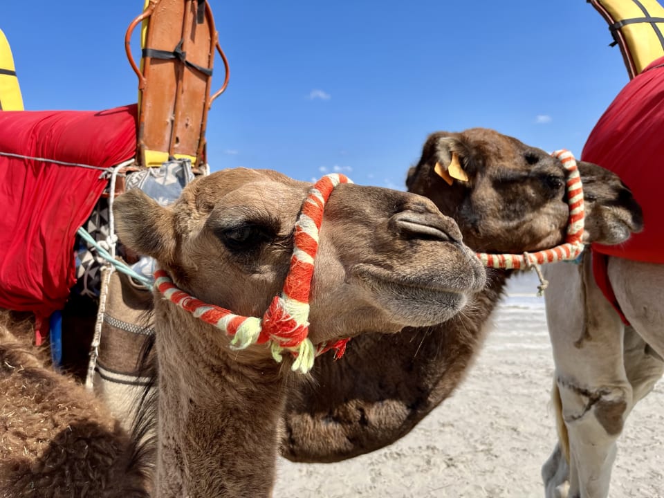 Strand Hotel Royal Garden Palace