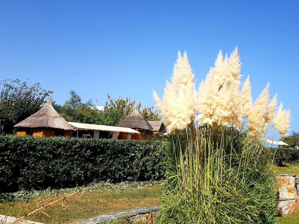 Sport & Freizeit Orpheas Resort - Adults Only