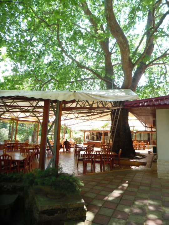 Gastro Hotel Estreya Residence
