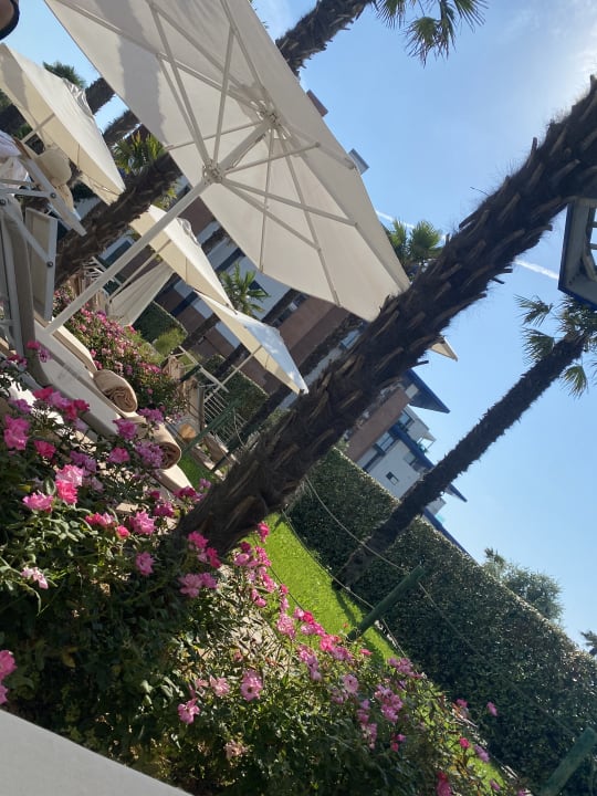 Außenansicht Almar Jesolo Resort & Spa