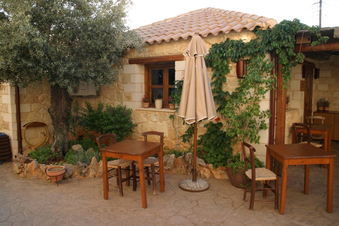 Kaffeehaus Cactus Royal