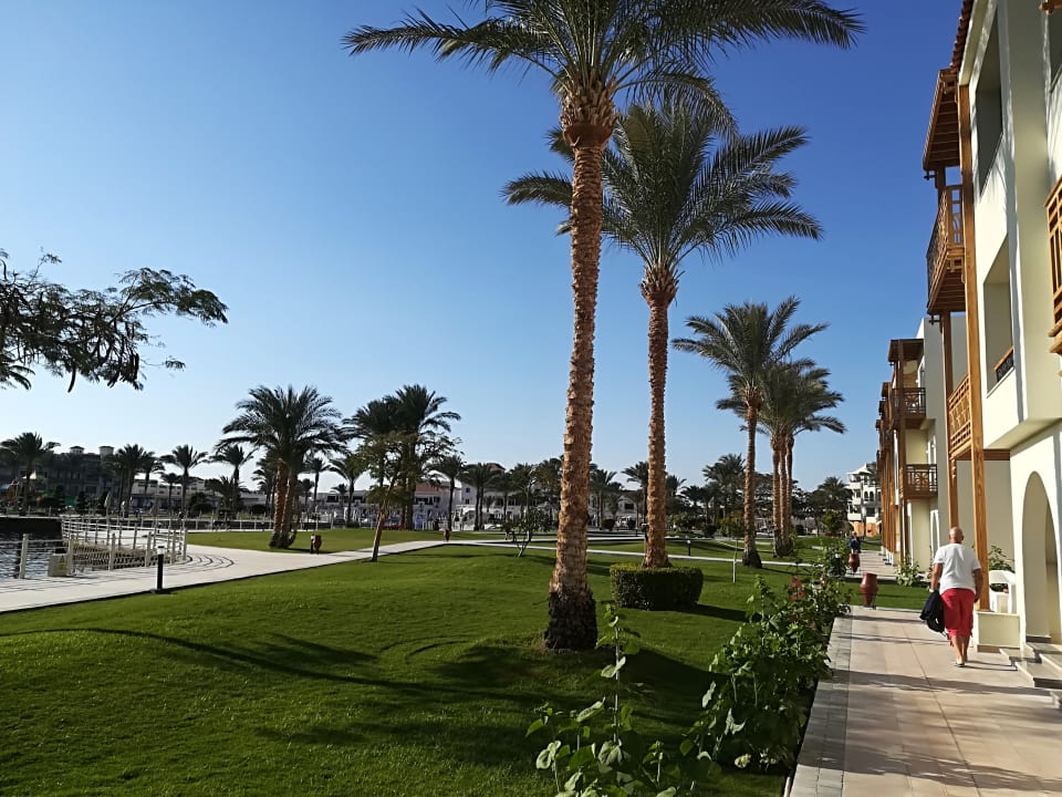 Gartenanlage Pickalbatros Dana Beach Resort - Hurghada