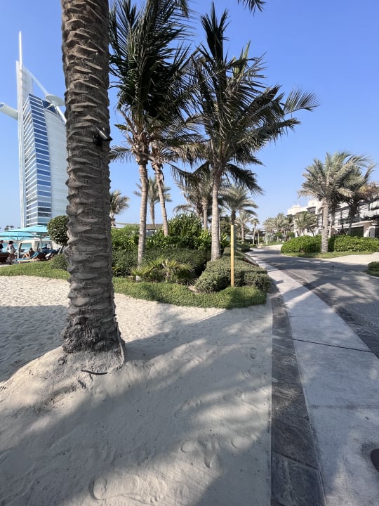Gartenanlage Jumeirah Al Naseem