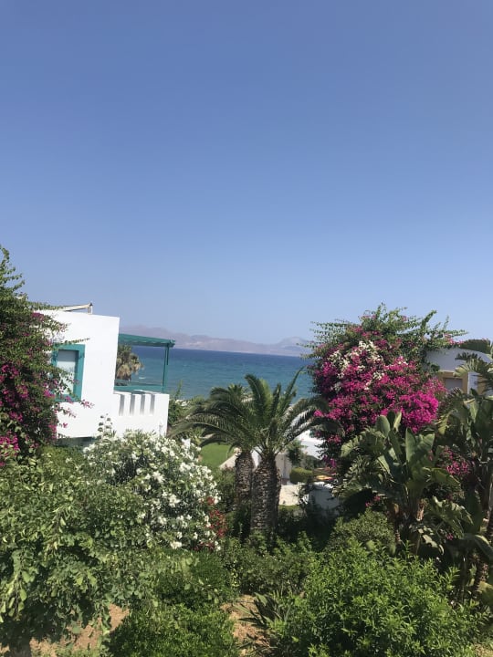 Ausblick Mastichari Bay Hotel