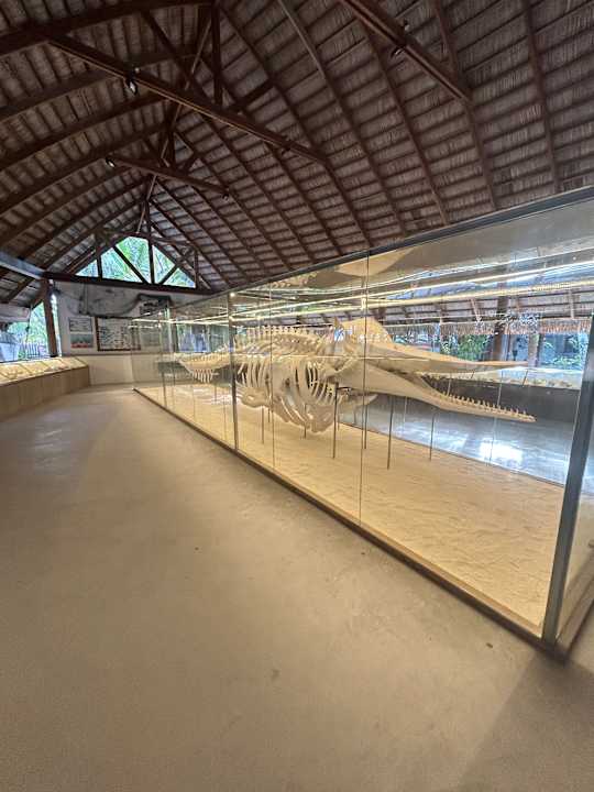 Sonstiges Kuramathi Maldives