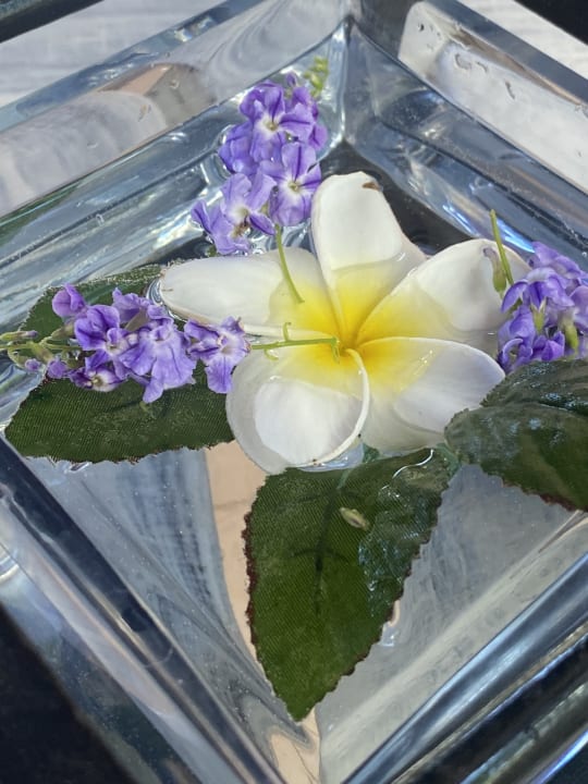 Gartenanlage Paradisus Rio de Oro Resort & Spa - Adults only