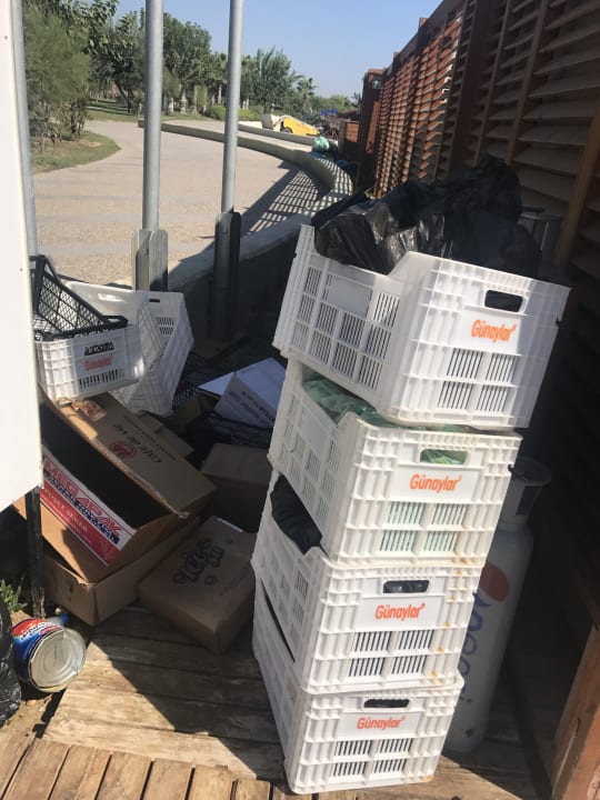 Sonstiges Well Palace Side