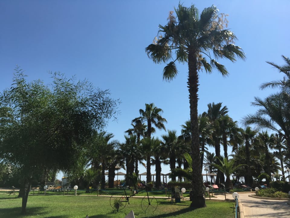 Gartenanlage Riadh Palms Resort & Spa