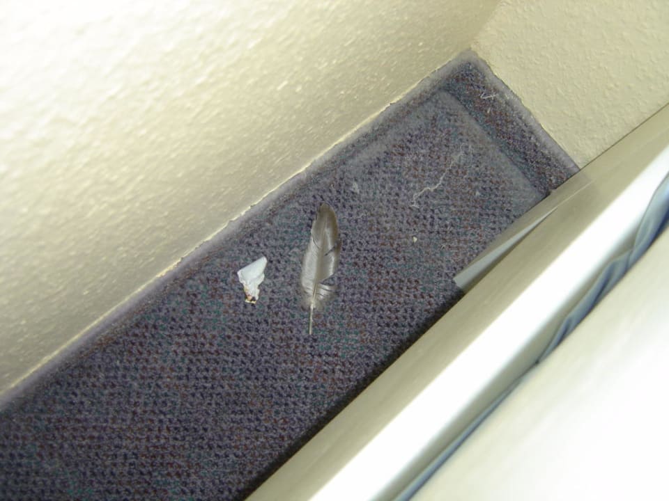 Endreinigung Ferienwohnungen Ferienpark Weissenhäuser Strand