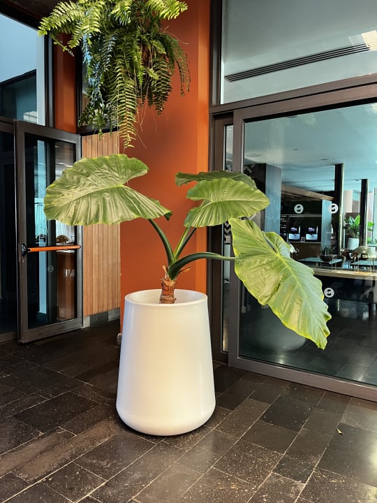 Lobby Salobre Hotel Resort & Serenity