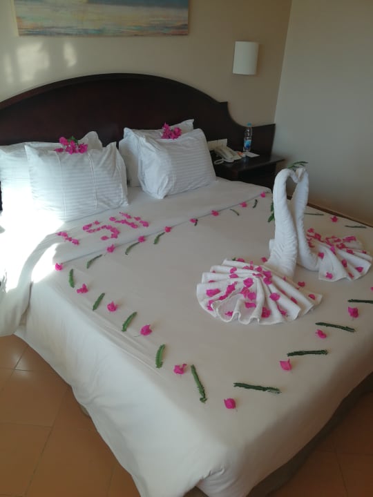 Zimmer LABRANDA Royal Makadi