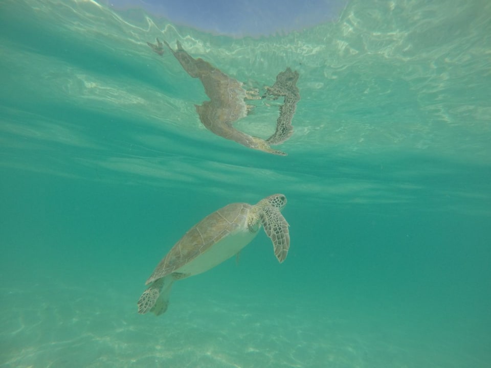 Strand Akumal Bay Beach & Wellness Resort