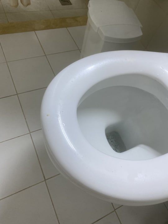 Zimmer Monarque Dar Jerba Zahra