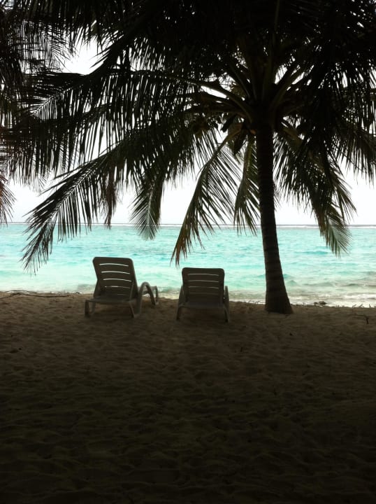 Blick von unserm Bunge (234) Summer Island Maldives