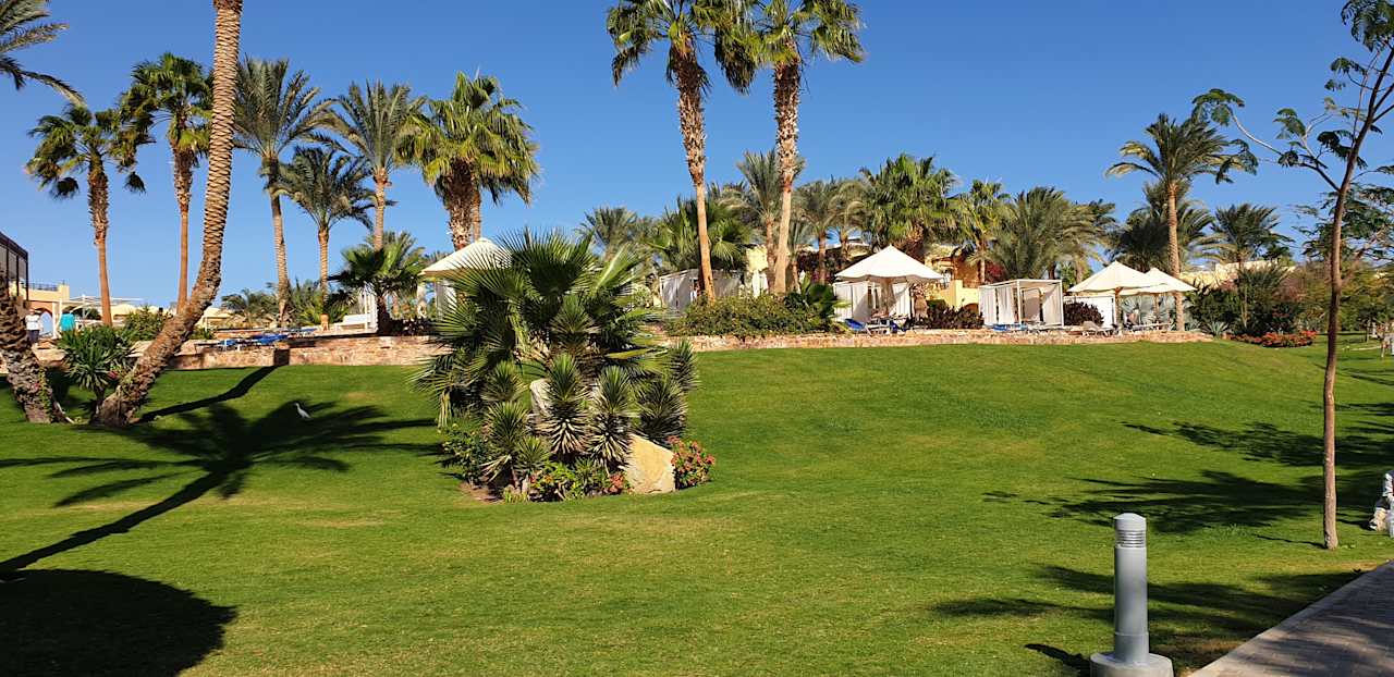 Gartenanlage Steigenberger Coraya Beach - Adults only